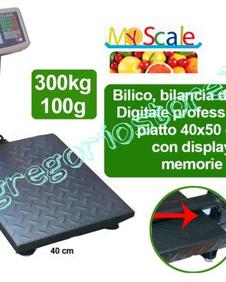 Bilico Elettrica 300 bilico