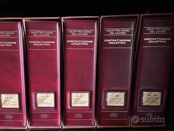 I quattro codici del lavoro (IPSOA) 24 volumi