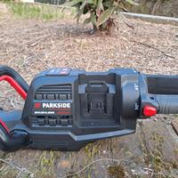 tagliasiepi parkside performance 