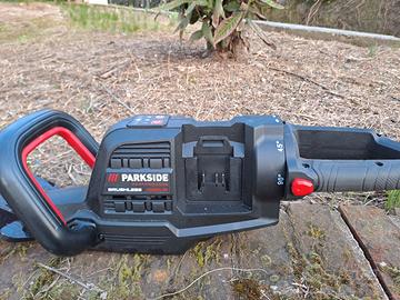 tagliasiepi parkside performance 