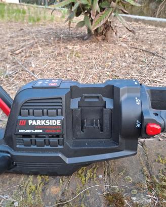 tagliasiepi parkside performance 