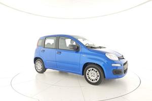 FIAT Panda 1.0 FireFly S&S Hybrid +Vernice + ...