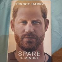 Prince Harry, Duca di Sussex