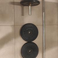 Bilanciere e manubrio