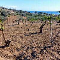 Terreno panoramico vista mare a s. teresa di riva