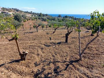 Terreno panoramico vista mare a s. teresa di riva