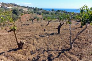 Terreno panoramico vista mare a s. teresa di riva