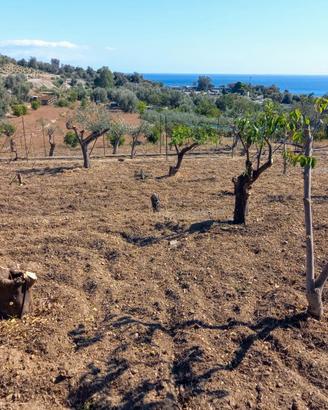Terreno panoramico vista mare a s. teresa di riva
