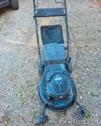 taglia erba Briggs Stratton 