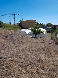 Terreno con serre