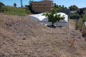 Terreno con serre