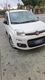 Fiat panda 1.3 multijet 80 cv S&S lounge