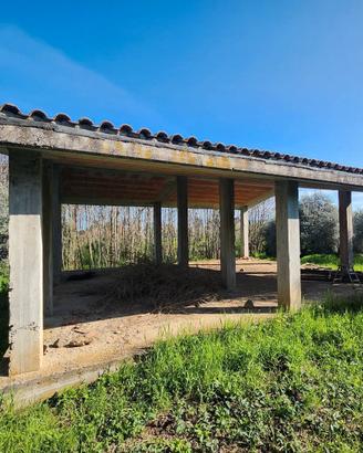 San cesareo:rustico indipendente