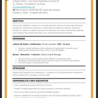 Bar pulizie banconista ditta di pulizie cameriera