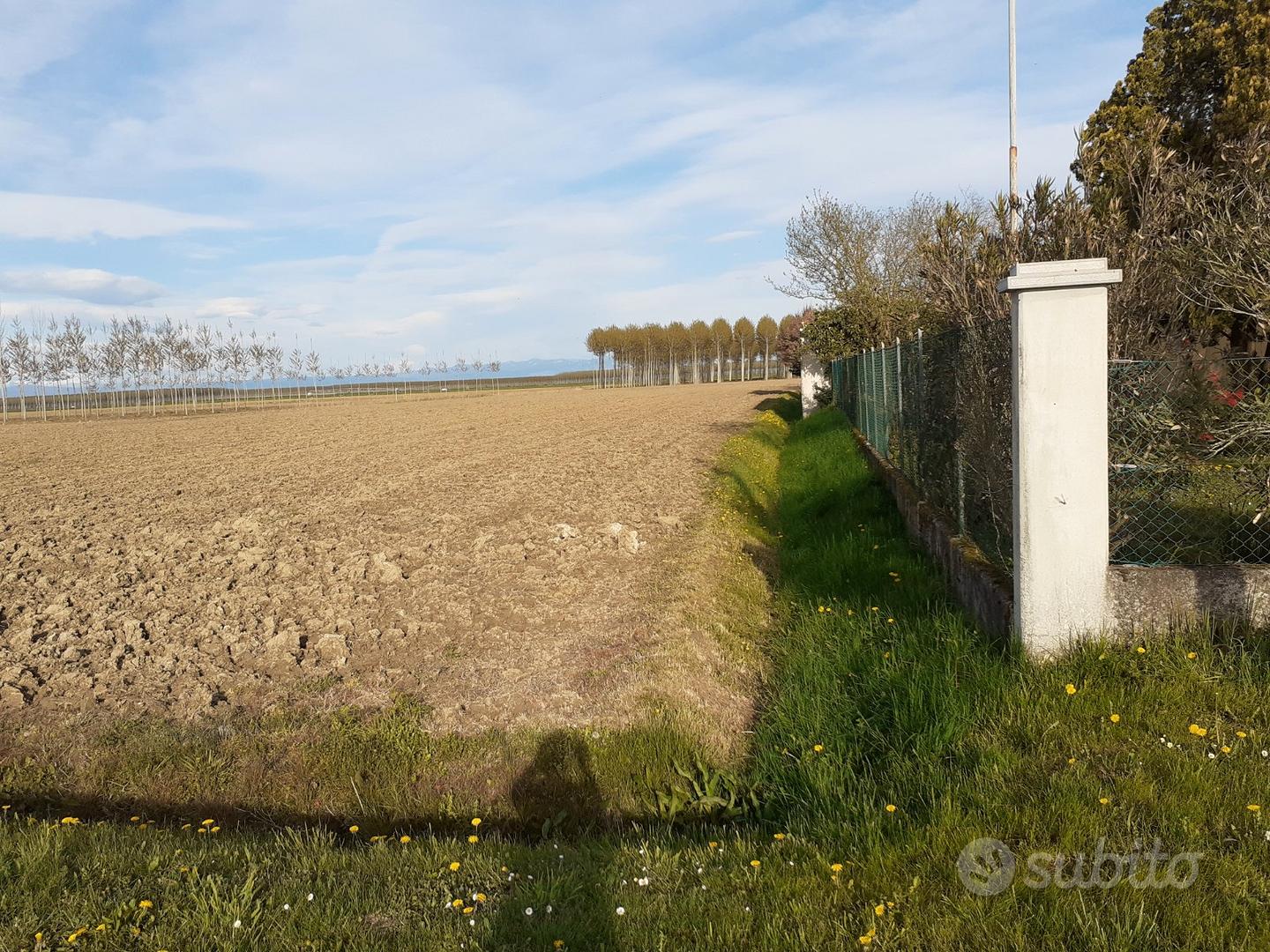 Terreno Agricolo Seminat 1,56 Ettari Porpetto(UD) - Vista 4