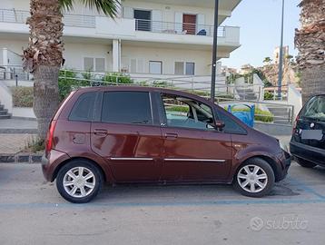 Lancia musa