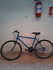 bici MTB 26