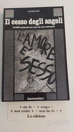 IL CESSO DEGLI ANGELI - AUTORI VARI - GAMMALIBRI -