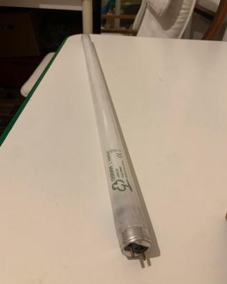 Tubo luce OSRAM (15 pezzi)