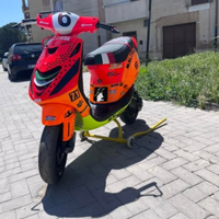 Zip SP Malossi da trofeo
