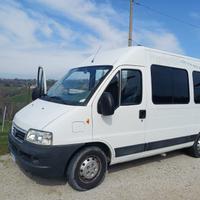 Fiat ducato 9 posti anche per disabili