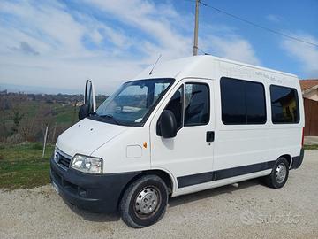 Fiat ducato 9 posti anche per disabili