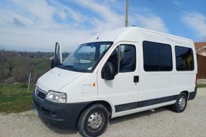 Fiat ducato 9 posti anche per disabili