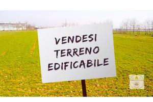 Terreno a Solesino (PD) - Solesino - Centro