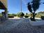 Immagine 14
