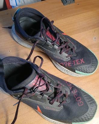 scarpe Nike Trail Gore tex