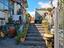 Immagine 19