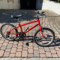 Bicicletta da bambino 20 pollici