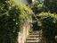 Immagine 8