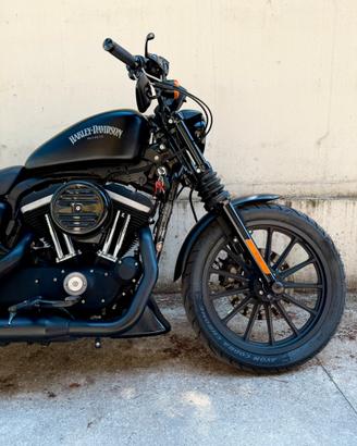 Harley davidson 883 Iron
