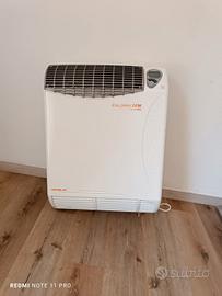  N. 6 RADIATORI  A GAS