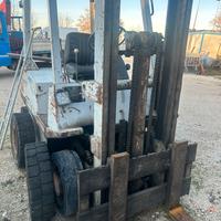 Muletto om 30