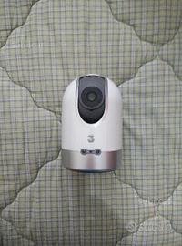 Pupillo della Tre libero