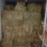 Fieno in ballette primo e secondo taglio