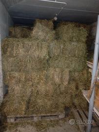 Fieno in ballette primo e secondo taglio