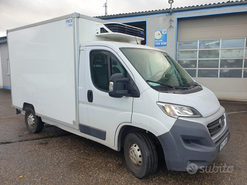 FIAT DUCATI Veicolo refrigerante