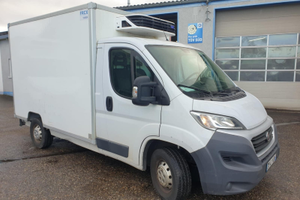 FIAT DUCATI Veicolo refrigerante