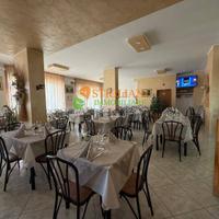 Attivita commerciale, Parco dei Pini - Campobasso