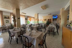 Attivita commerciale, Parco dei Pini - Campobasso