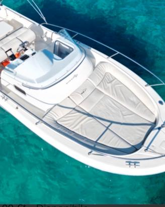 Barca americana fisherman walkaround e da crociera