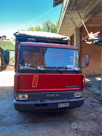 Iveco 65 12 trasporto bestiame