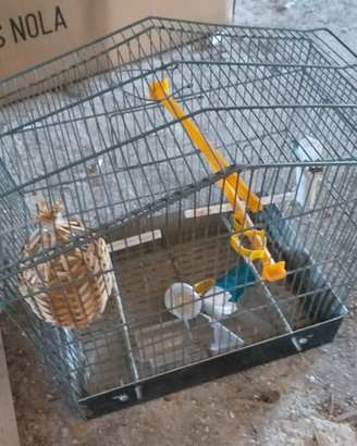 Gabbia per uccelli