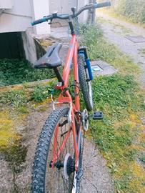 Mountain bike da uomo