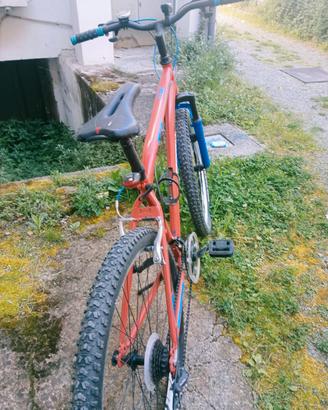 Mountain bike da uomo