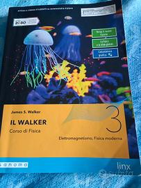 il Walker 3 elettromagnetismo fisica moderna 