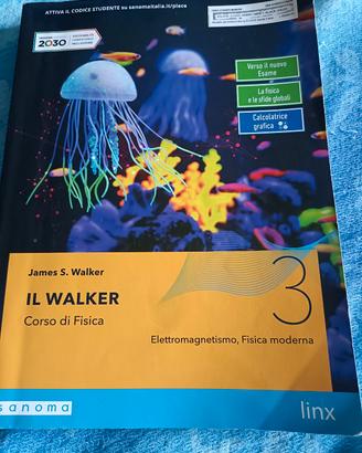 il Walker 3 elettromagnetismo fisica moderna 